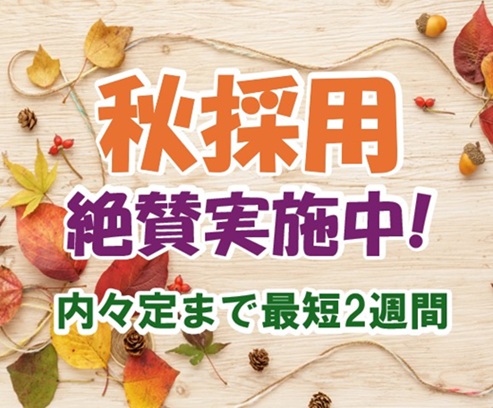 秋採用を実施します！内々定まで最短2週間！